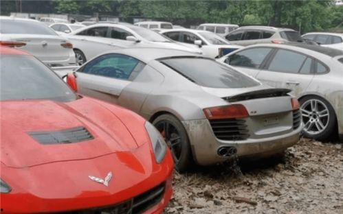 最新玛莎爆料视频播放,娱乐圈幕后真相大曝光！  第2张