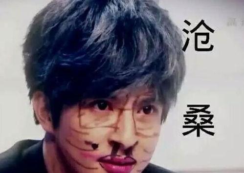 薛之谦泥潭爆料视频大全,揭秘背后真相与情感纠葛 第2张 薛之谦泥潭爆料视频大全,揭秘背后真相与情感纠葛 第2张